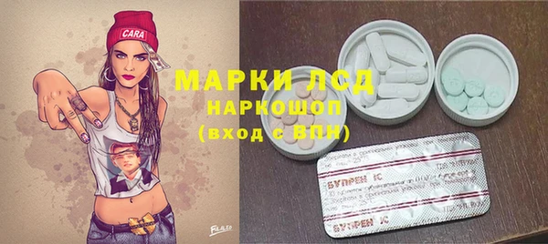 бошки Белокуриха