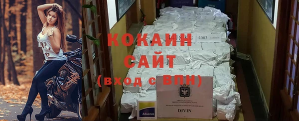 бошки Белокуриха